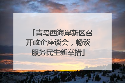 青岛西海岸新区召开政企座谈会，畅谈服务民生新举措