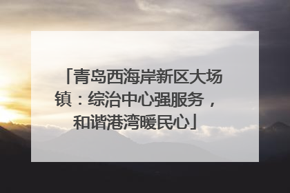 青岛西海岸新区大场镇：综治中心强服务，和谐港湾暖民心