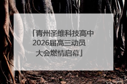 青州圣维科技高中2026届高三动员大会燃情启幕