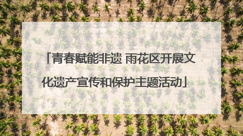 青春赋能非遗 雨花区开展文化遗产宣传和保护主题活动