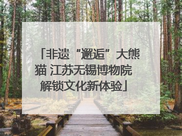 非遗“邂逅”大熊猫 江苏无锡博物院解锁文化新体验