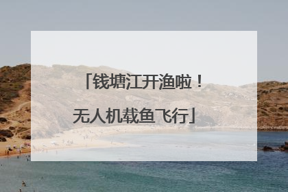 钱塘江开渔啦！无人机载鱼飞行