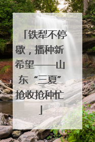 铁犁不停歇,播种新希望——山东“三夏”抢收抢种忙