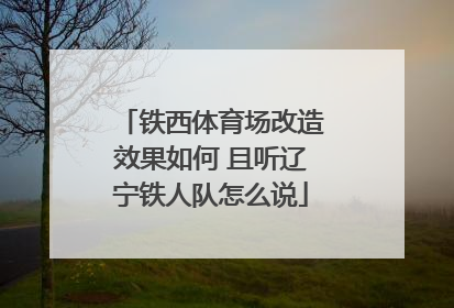 铁西体育场改造效果如何 且听辽宁铁人队怎么说
