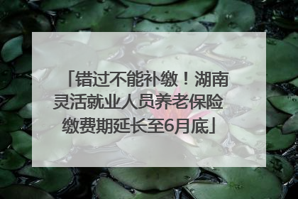 错过不能补缴！湖南灵活就业人员养老保险缴费期延长至6月底