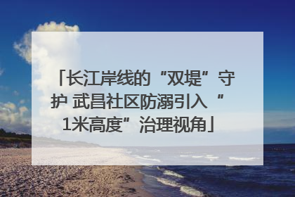 长江岸线的“双堤”守护 武昌社区防溺引入“1米高度”治理视角