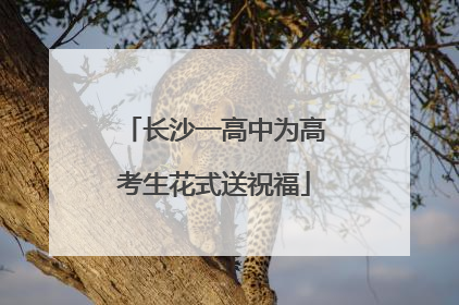 长沙一高中为高考生花式送祝福
