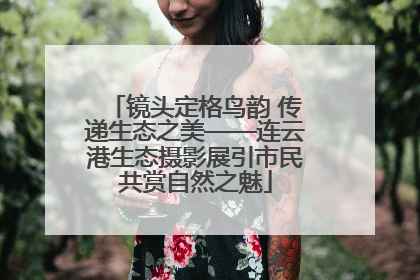 镜头定格鸟韵 传递生态之美——连云港生态摄影展引市民共赏自然之魅