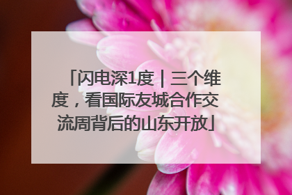 闪电深1度｜三个维度，看国际友城合作交流周背后的山东开放