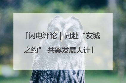 闪电评论｜同赴“友城之约” 共襄发展大计
