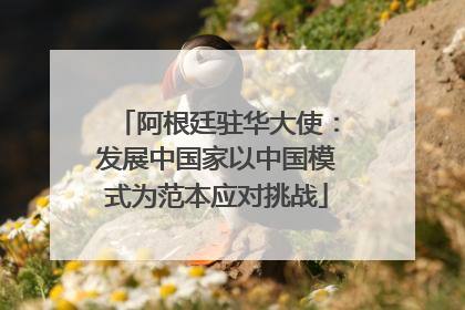 阿根廷驻华大使：发展中国家以中国模式为范本应对挑战