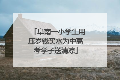 阜南一小学生用压岁钱买水为中高考学子送清凉