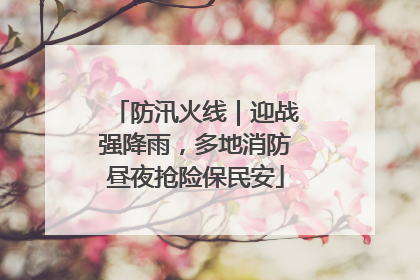 防汛火线｜迎战强降雨，多地消防昼夜抢险保民安