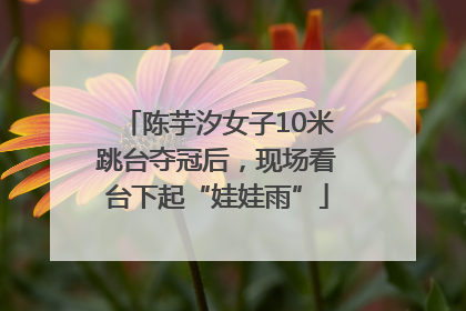 陈芋汐女子10米跳台夺冠后，现场看台下起“娃娃雨”