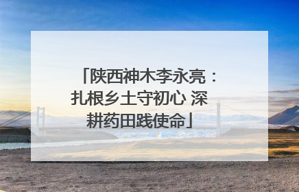 陕西神木李永亮：扎根乡土守初心 深耕药田践使命