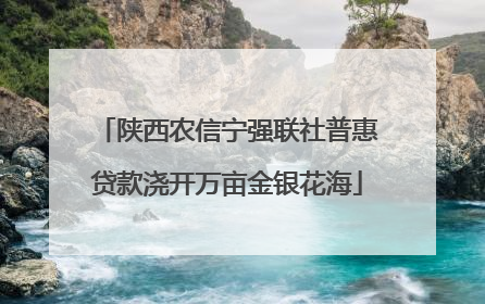 陕西农信宁强联社普惠贷款浇开万亩金银花海