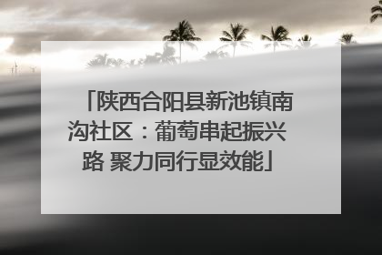 陕西合阳县新池镇南沟社区：葡萄串起振兴路 聚力同行显效能