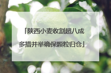 陕西小麦收割超八成 多措并举确保颗粒归仓