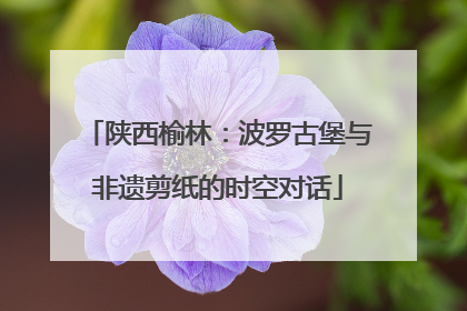 陕西榆林：波罗古堡与非遗剪纸的时空对话