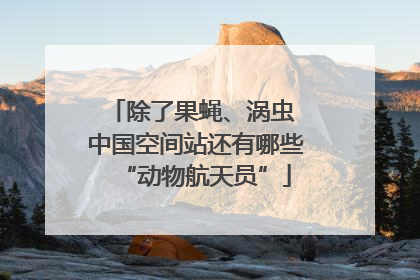 除了果蝇、涡虫 中国空间站还有哪些“动物航天员”