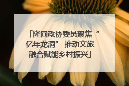 隆回政协委员聚焦“亿年龙洞” 推动文旅融合赋能乡村振兴