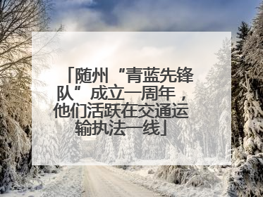 随州“青蓝先锋队”成立一周年，他们活跃在交通运输执法一线