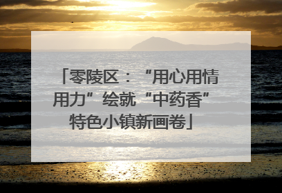 零陵区：“用心用情用力”绘就“中药香”特色小镇新画卷