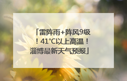 雷阵雨+阵风9级！41℃以上高温！淄博最新天气预报