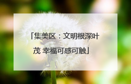 集美区：文明根深叶茂 幸福可感可触