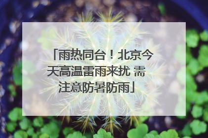 雨热同台！北京今天高温雷雨来扰 需注意防暑防雨