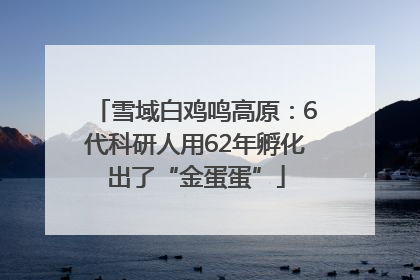 雪域白鸡鸣高原：6代科研人用62年孵化出了“金蛋蛋”