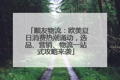 顺友物流：欧美夏日消费热潮涌动，选品、营销、物流一站式攻略来袭
