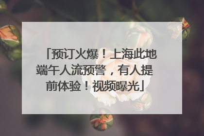 预订火爆！上海此地端午人流预警，有人提前体验！视频曝光
