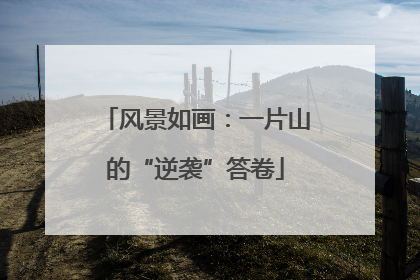 风景如画：一片山的“逆袭”答卷