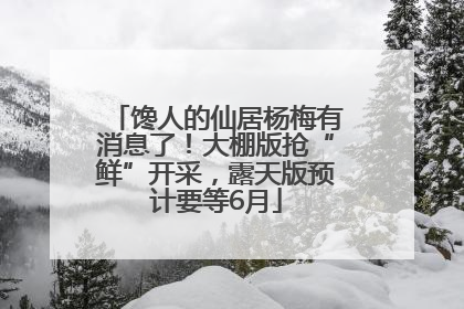 馋人的仙居杨梅有消息了！大棚版抢“鲜”开采，露天版预计要等6月