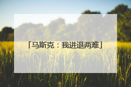 马斯克：我进退两难