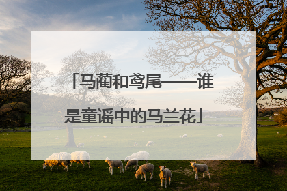 马蔺和鸢尾——谁是童谣中的马兰花