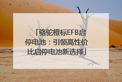 骆驼橙标EFB启停电池：引领高性价比启停电池新选择