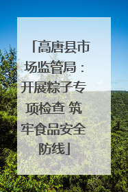 高唐县市场监管局：开展粽子专项检查 筑牢食品安全防线