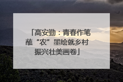 高安勤：青春作笔蘸“农”墨绘就乡村振兴壮美画卷