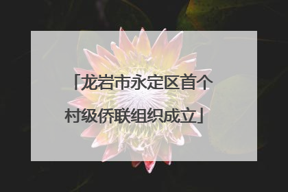龙岩市永定区首个村级侨联组织成立