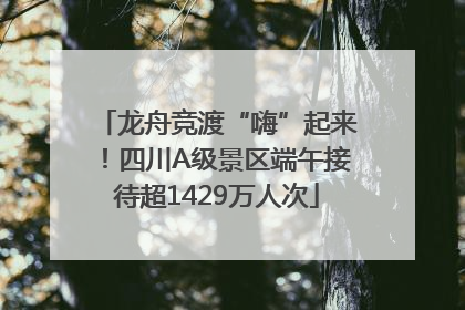 龙舟竞渡“嗨”起来！四川A级景区端午接待超1429万人次