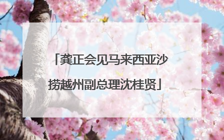 龚正会见马来西亚沙捞越州副总理沈桂贤