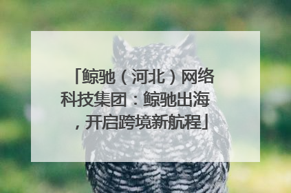 鲸驰（河北）网络科技集团：鲸驰出海，开启跨境新航程