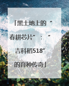 黑土地上的“春耕芯片”：“吉科稻518”的育种传奇