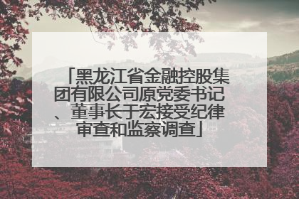 黑龙江省金融控股集团有限公司原党委书记、董事长于宏接受纪律审查和监察调查