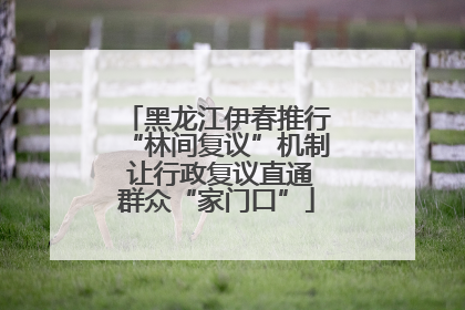 黑龙江伊春推行“林间复议”机制 让行政复议直通群众“家门口”