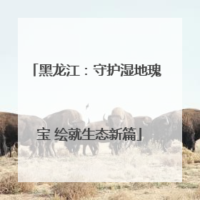 黑龙江：守护湿地瑰宝 绘就生态新篇