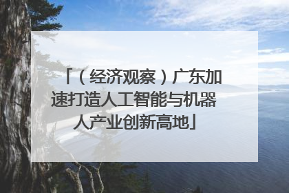 （经济观察）广东加速打造人工智能与机器人产业创新高地