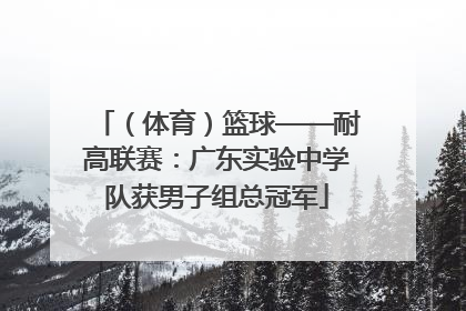 （体育）篮球——耐高联赛：广东实验中学队获男子组总冠军